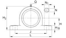 直立式軸承座單元 PASE45-TV-FA125.5, 塑料軸承座，帶偏心鎖圈的外球面球軸承，帶 Corrotect? 涂層，P型密封