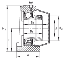 直立式軸承座單元 PSHE45-TV-FA125.5, 塑料軸承座，帶偏心鎖圈的外球面球軸承，帶 Corrotect? 涂層，P型密封