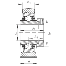 直立式軸承座單元 TSHE45, 鑄鐵軸承座，帶偏心鎖圈的外球面球軸承，T 型密封