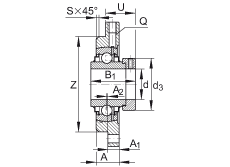 軸承座單元 RMEO100, 帶四個螺栓孔的法蘭的軸承座單元，鑄鐵，定心凸出物，偏心鎖圈，系列 63，R密封